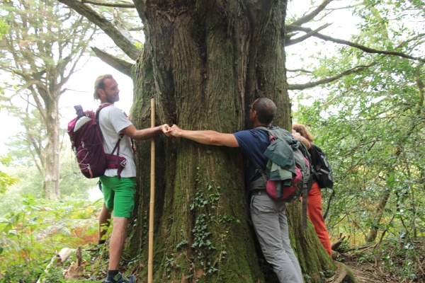 Voyages Initiatiques et Spirituels - Inde, Compostelle, Bretagne, St Baume, Bugarach, etc.